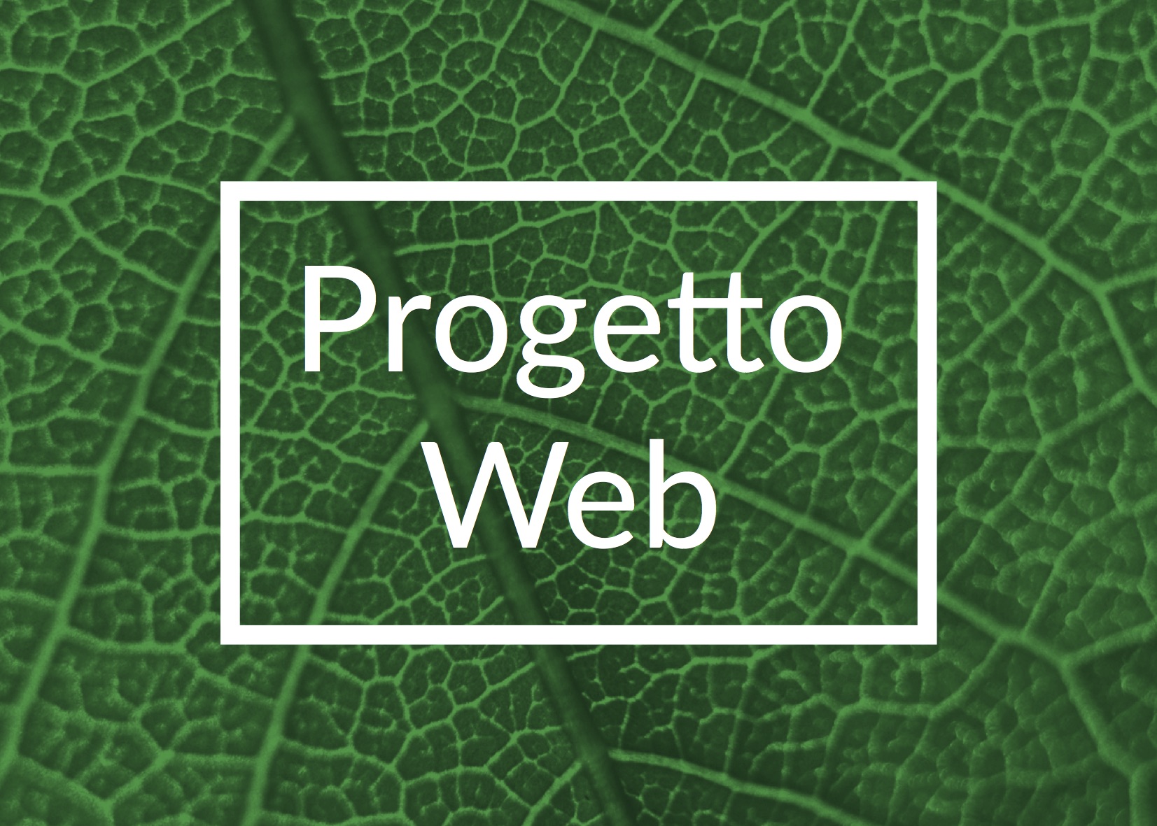 Progetto Web